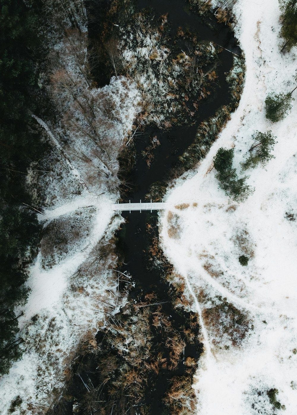 A bridge on a snow-covered forest path.
